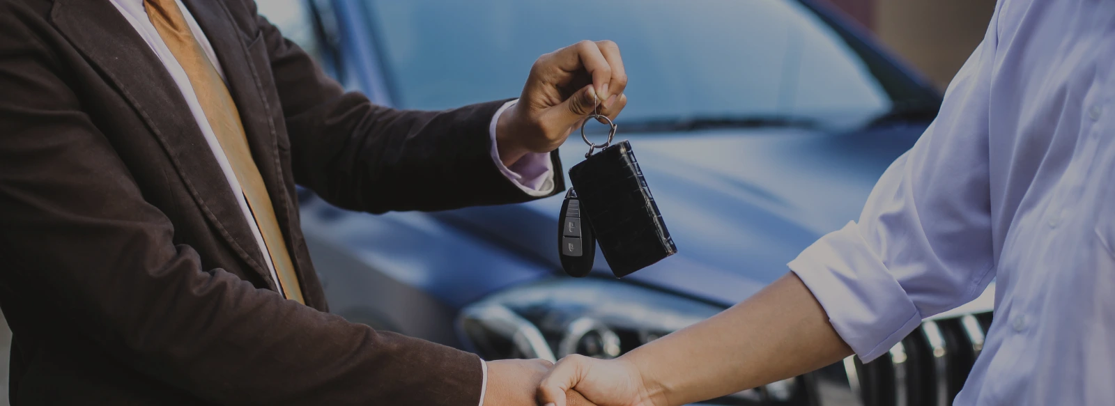 A Collection banner image